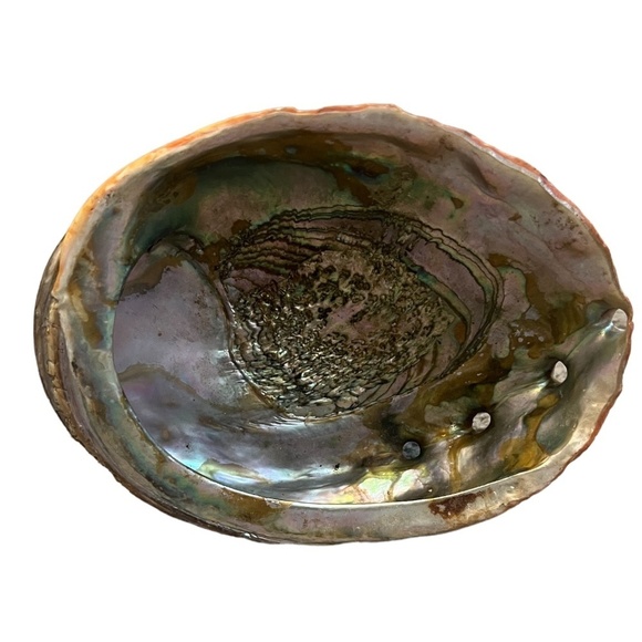 Abalone Shell Large Red Dish shaped Lustre Iridescent Shiny - Picture 8 of 8